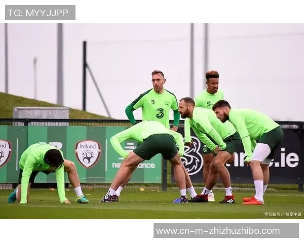 爱尔兰与奥地利足球赛前瞻分析及胜负预测解析