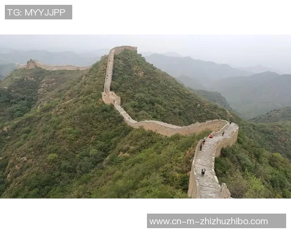 贝拉vs对手的精彩对决揭示了女性力量与勇气的无限可能性